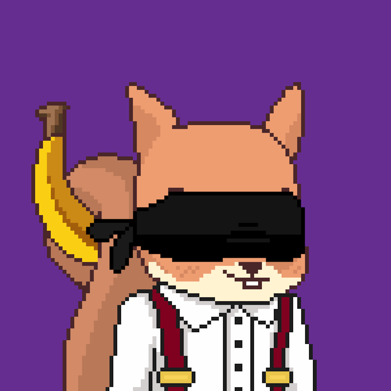 Pixel Squirrels #9878